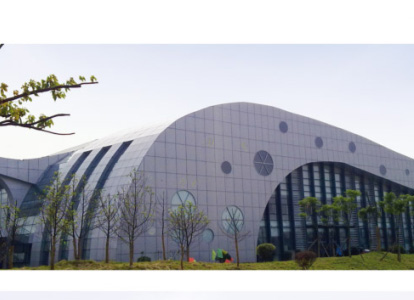 邛崃会议中心外景网架工程